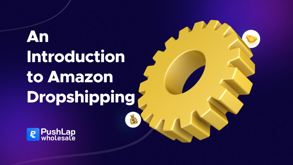 An introduction to amazon dropshipping